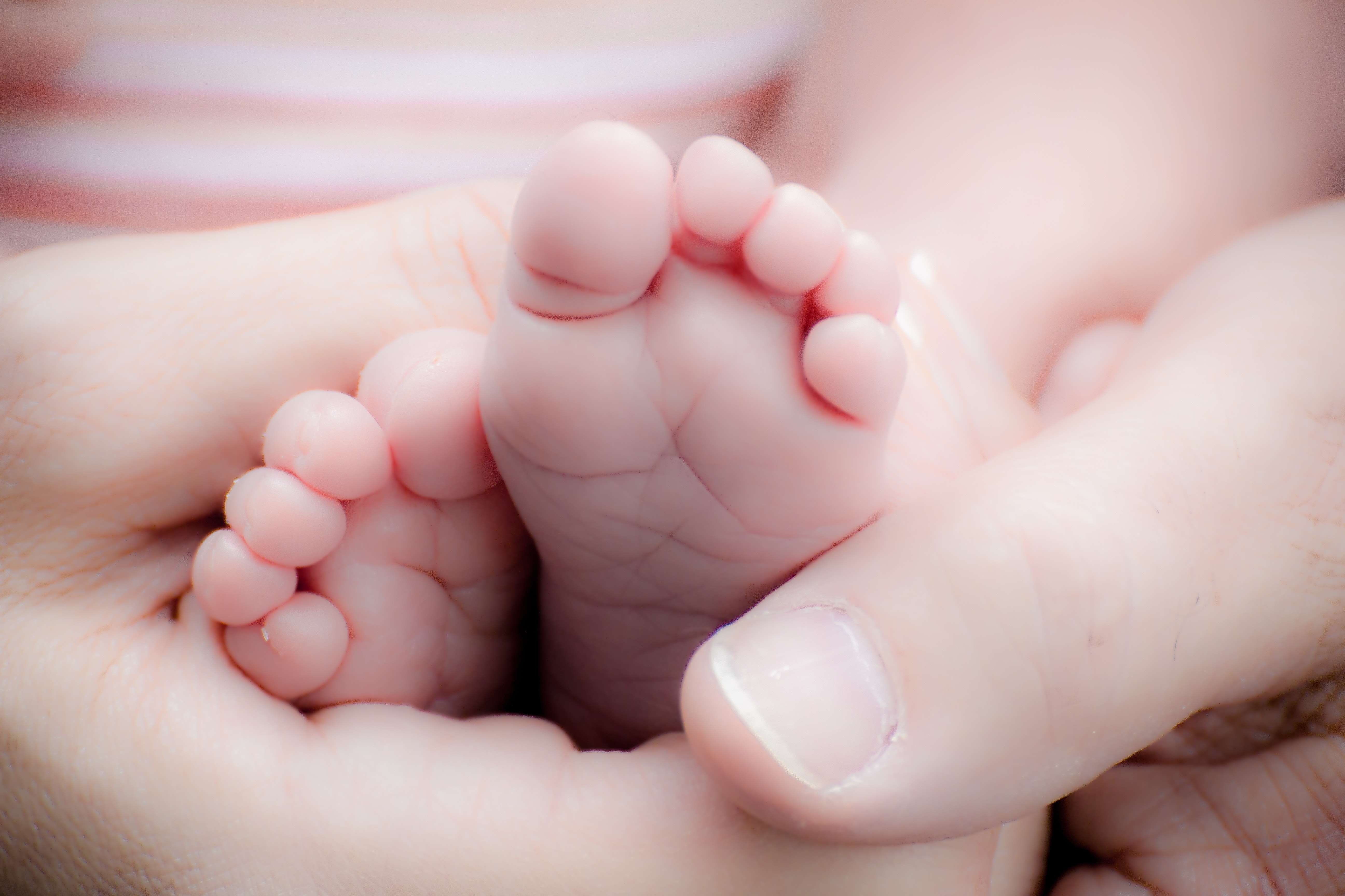 adorable-baby-baby-feet-266011